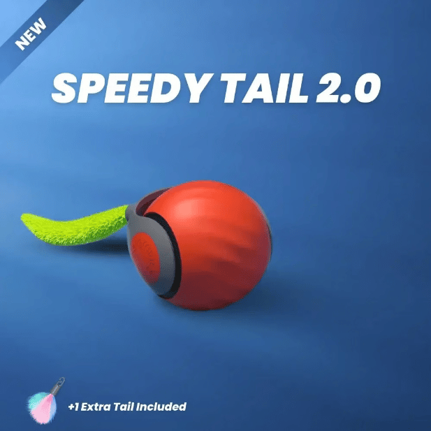 ✨2025 New Arrival 🐶Interactive Rechargeable Cat Toy Ball