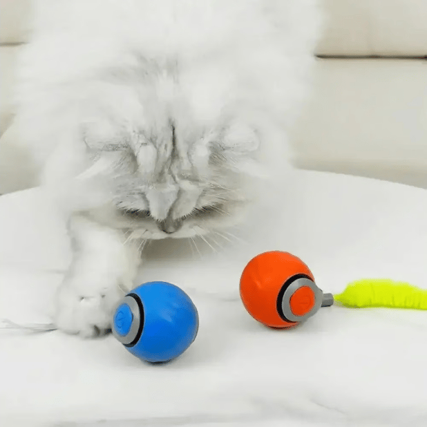 ✨2025 New Arrival 🐶Interactive Rechargeable Cat Toy Ball