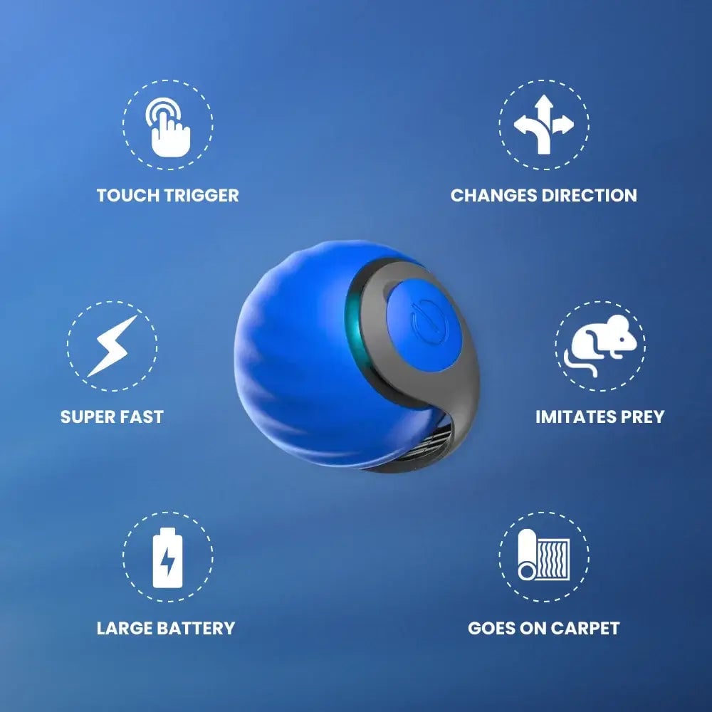 ✨2025 New Arrival 🐶Interactive Rechargeable Cat Toy Ball