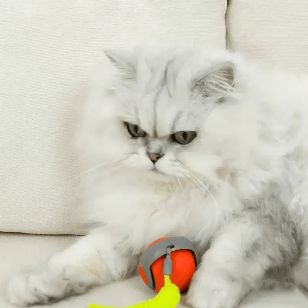 ✨2025 New Arrival 🐶Interactive Rechargeable Cat Toy Ball