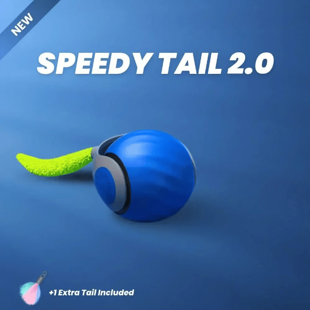✨2025 New Arrival 🐶Interactive Rechargeable Cat Toy Ball