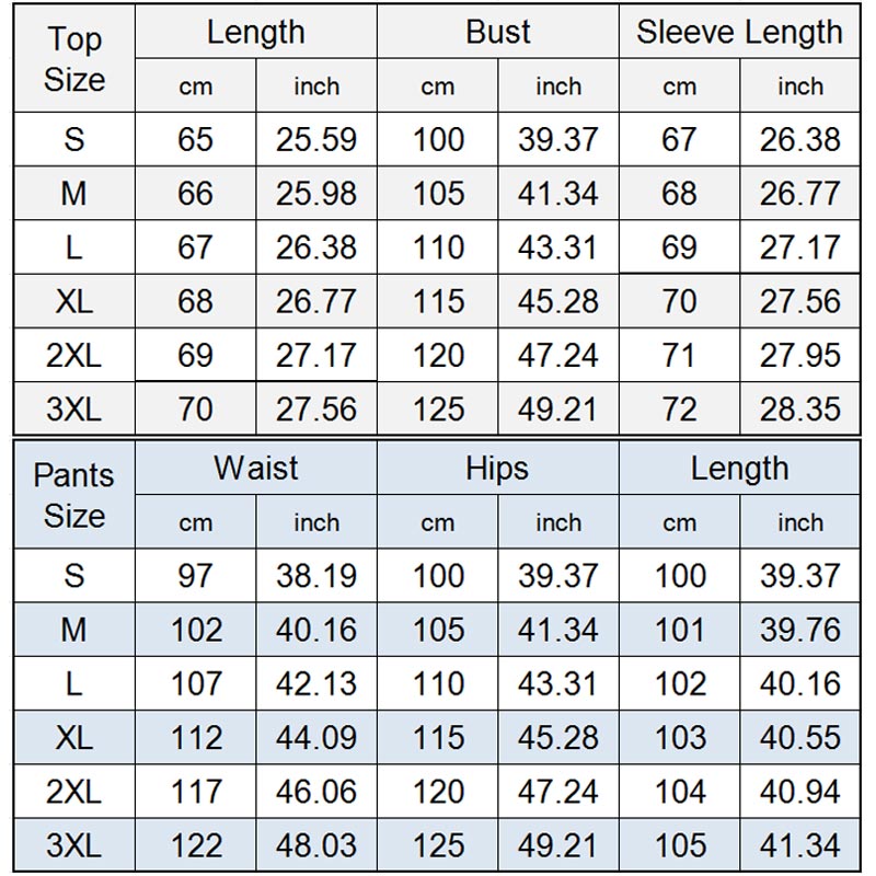 Women’s Casual Chic Long-sleeve Top and Straight Pants Set