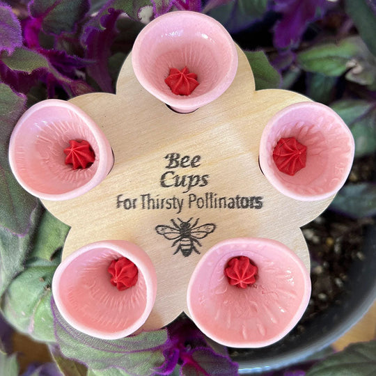 🏆Last Day Special Price ￡6.99!!💐🐝Bee Insect Drinking Cup - A SET (5PCS)