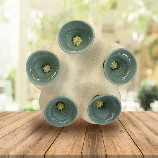 🏆Last Day Special Price ￡6.99!!💐🐝Bee Insect Drinking Cup - A SET (5PCS)