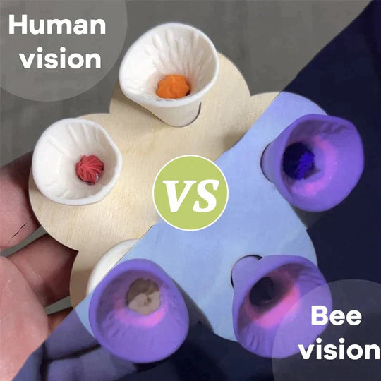 🏆Last Day Special Price ￡6.99!!💐🐝Bee Insect Drinking Cup - A SET (5PCS)