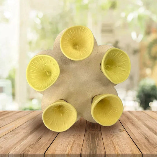 🏆Last Day Special Price ￡6.99!!💐🐝Bee Insect Drinking Cup - A SET (5PCS)