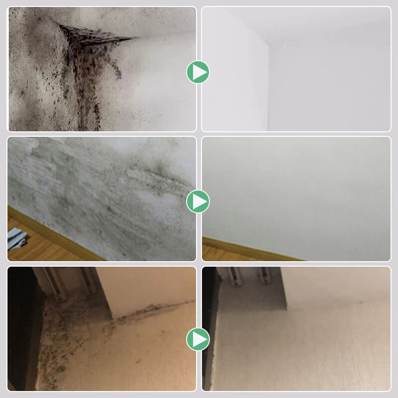 Mildew Removal Spray