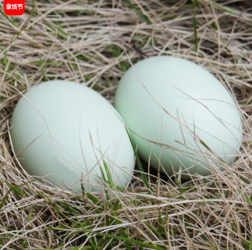 Imitation eggs, used for pranks or decorations