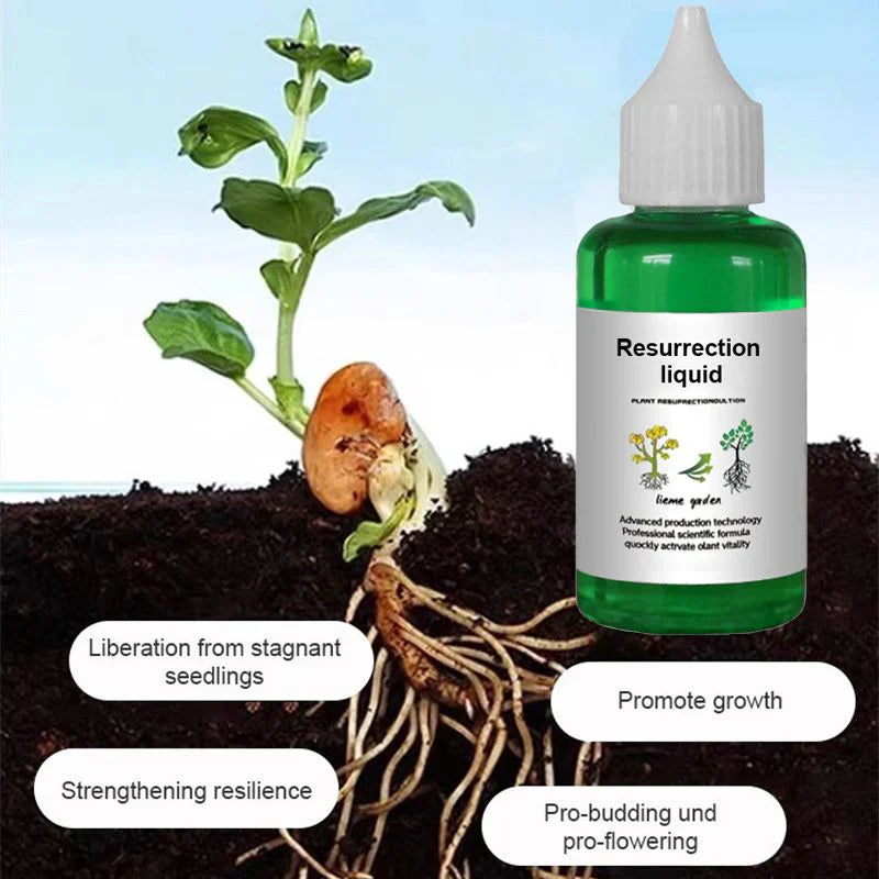 🌿Plant & Flower Activation Liquid - Expert-Recommended Formula for Vibrant Growth & Blooming 🌸🌱