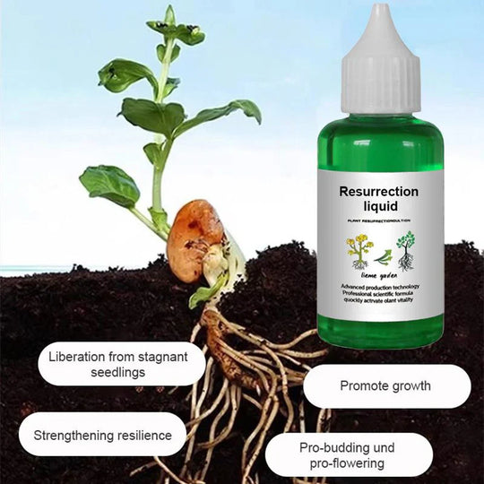 🌿Plant & Flower Activation Liquid - Expert-Recommended Formula for Vibrant Growth & Blooming 🌸🌱