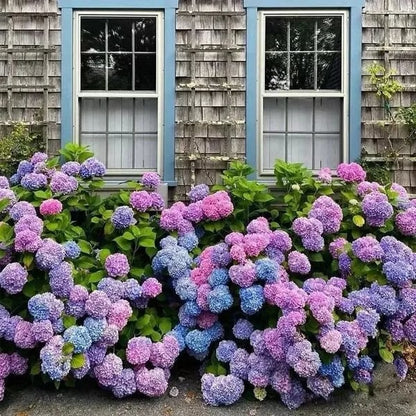 Artificial Hydrangea Flowers For Outdoors💐