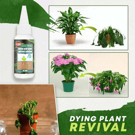 🏆 Last Day Special Price £12.99 ! 🔥🔥Plant Nutrient Solution