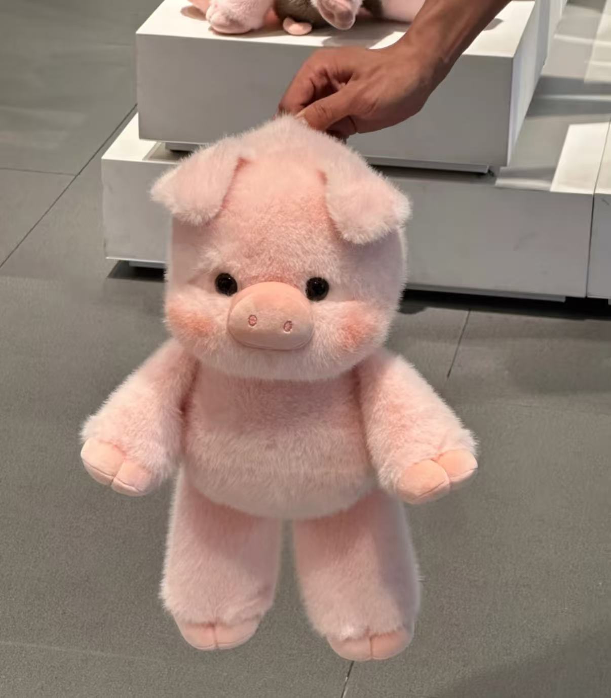 Small fragrant pig（45cm）