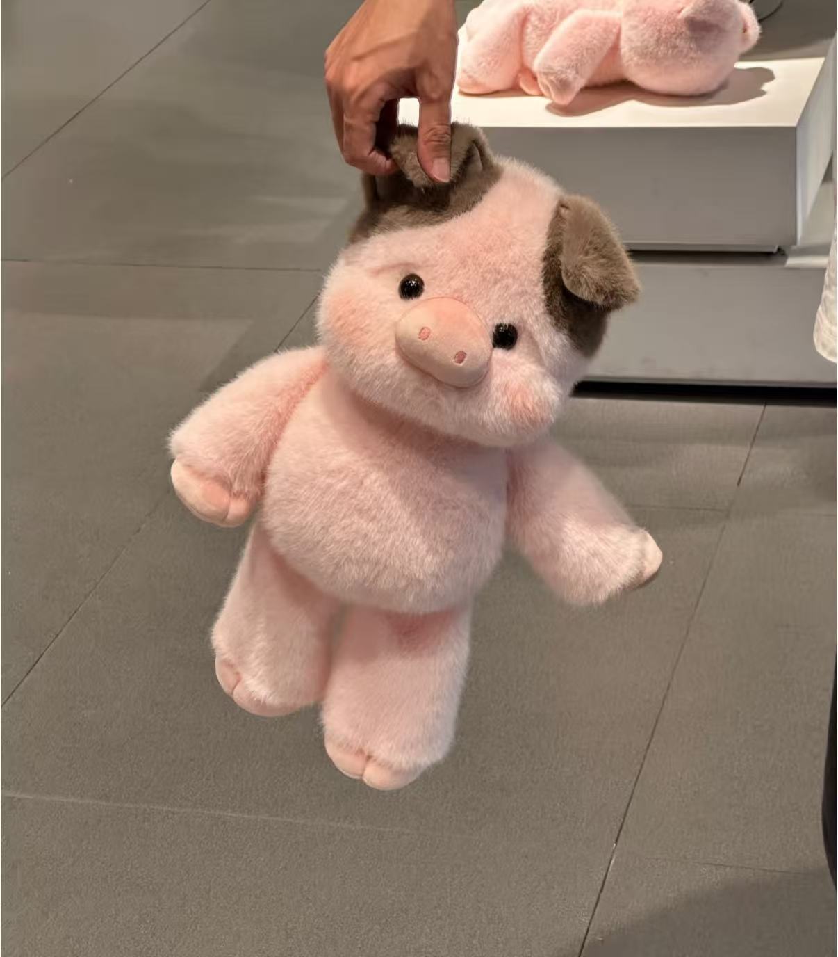 Mini pig patchwork color（45cm）