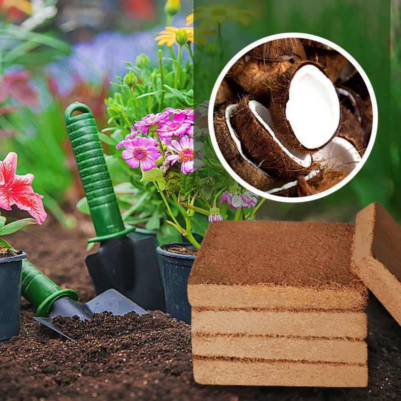 ✨Special Big Sale🌿Organic Coconut Fiber Nutrient Soil for Plants