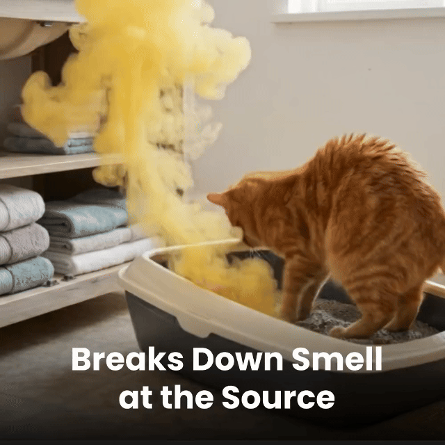 OzoFreshen - Eliminate Pet Smells In Under 24 Hours & Stop Them From Coming Back