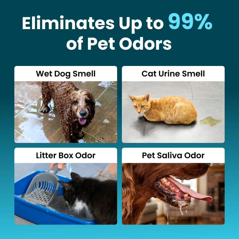 OzoFreshen - Eliminate Pet Smells In Under 24 Hours & Stop Them From Coming Back
