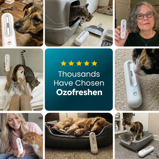 OzoFreshen - Eliminate Pet Smells In Under 24 Hours & Stop Them From Coming Back