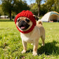 Red knitted dog hat with earflaps – Warm winter hat