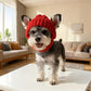 Red knitted dog hat with earflaps – Warm winter hat