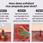 Peel Shot Glow Rice Ampoule Duo - Serums for Brightening, Exfoliating, and Moisturizing - Suitable for All Skin Types