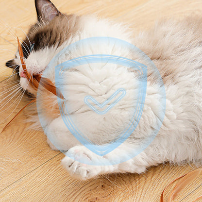 🔥2025 HOT SALE🐱 Interactive Cat Bouncy Ball with Feather