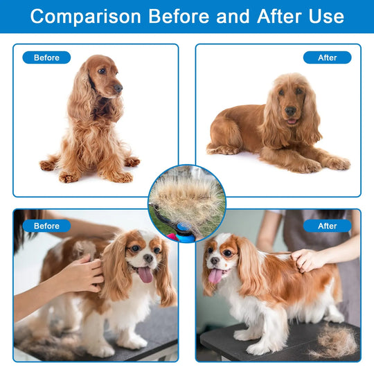 ⏰🔥 Professional Pet Shedding Comb – Effectively Removes Loose Hair – Pay on Delivery 🐾✅