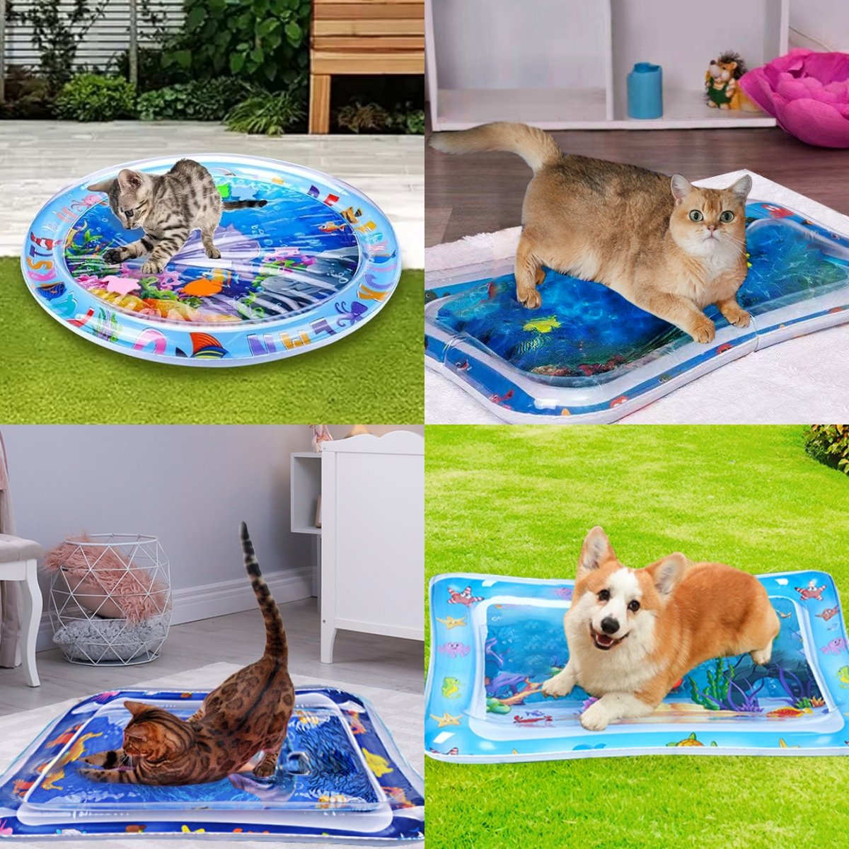 🔥Summer Hot Sale - 50% OFF🔥😻Water Sensormat Pet