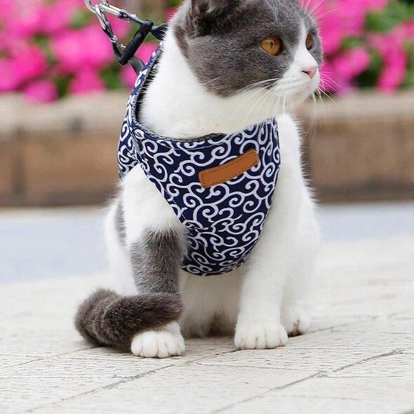 🔥Hot Sale 49% OFF🔥Pet Leash Anti-break Away Chest Strap Vest Harness