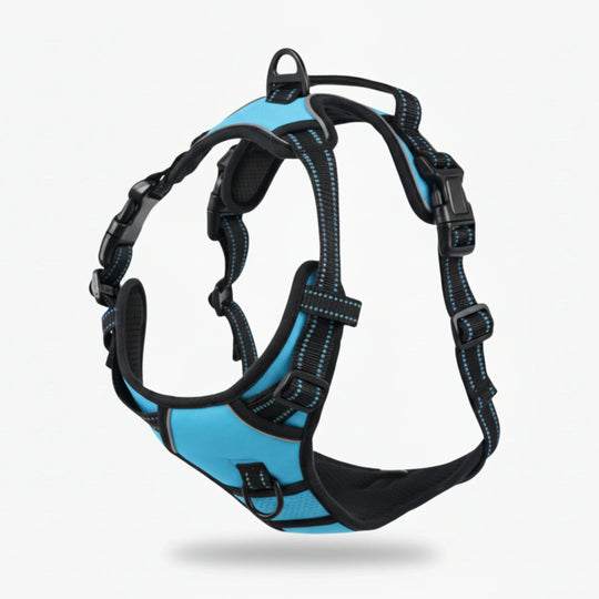 FELSTERN™Anti-Pull Harness