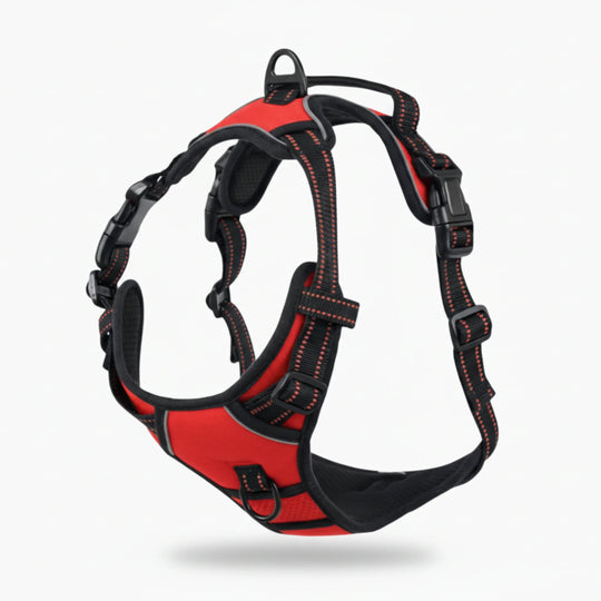 FELSTERN™Anti-Pull Harness