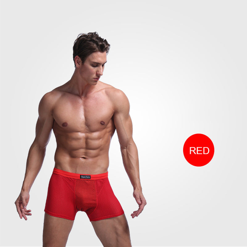 🔥2024 New Year's Hot Sale🔥Special Underwear for Men-Magnetic Underwear