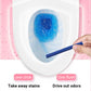 ✨🔥2025 Hot sale🔥Multi-functional Anti-Bacterial Deodorizing Toilet Cleaning Sticks🌈