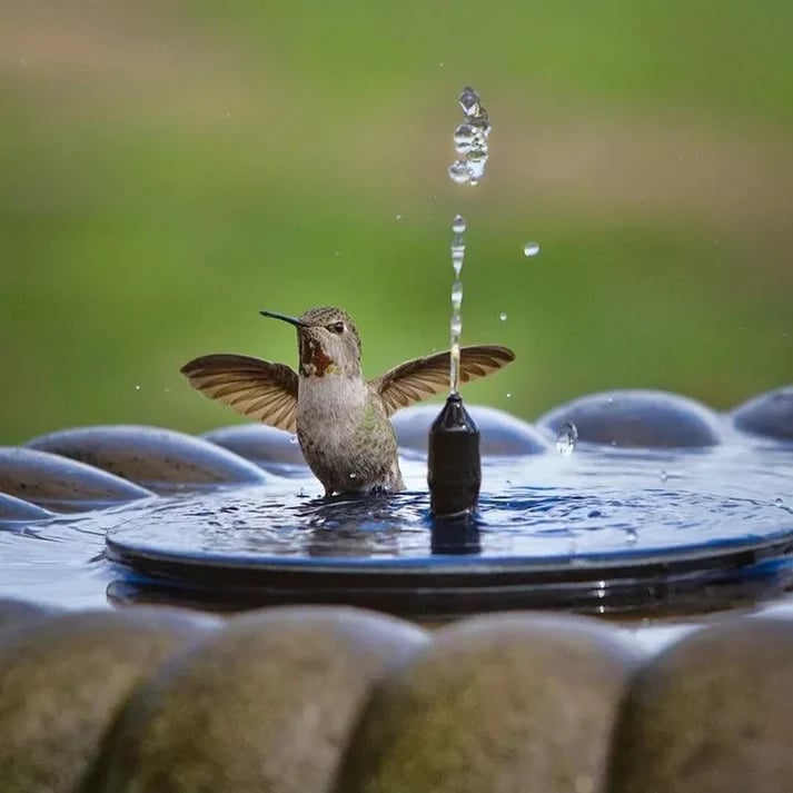 🎁HOT SALE 49% OFF 🎁Solar Powered Fountain