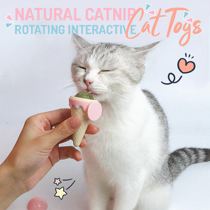 Icecream Catnip Ball Interactive Cat Toys