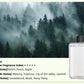 🔥Hot Sale🔥Automatic Aromatherapy Diffuser