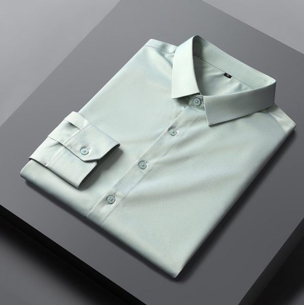 Men's High Elastic Free Iron Shirt