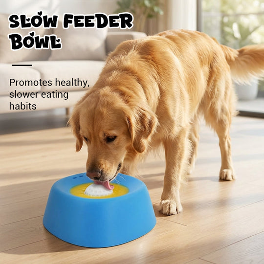 ⏳Limited-time 49% off🐶🦴Roll-N-Lick Dog Bowl: The Ultimate Liquid Treat FeederAnti-gulping bowl for dogs with rolling ball