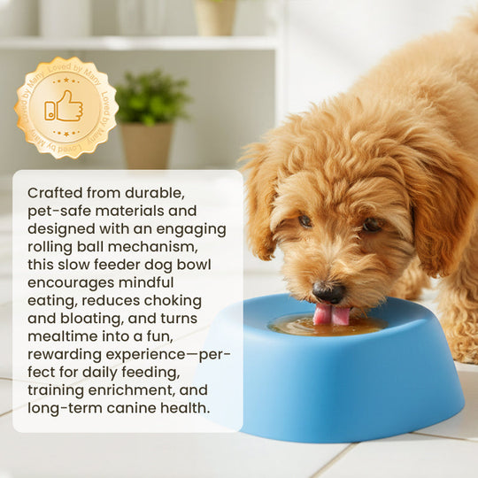 ⏳Limited-time 49% off🐶🦴Roll-N-Lick Dog Bowl: The Ultimate Liquid Treat FeederAnti-gulping bowl for dogs with rolling ball
