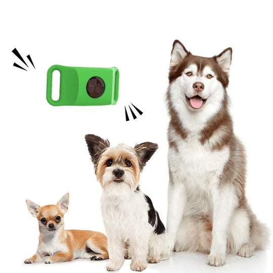 12 Monate floh-und zeckenfrei