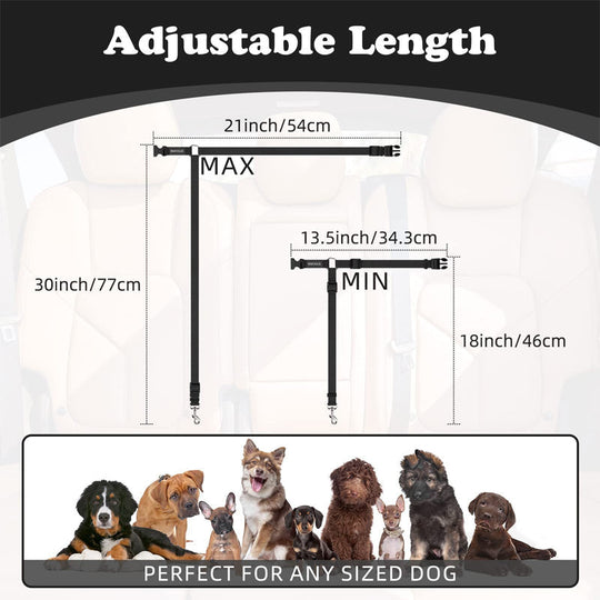 🔥Buy more save more🎁2-in-1 Dog Car Seat Belt & Walking Leash