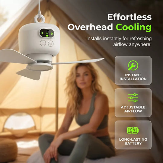 Rechargeable Ceiling Fan with LED Light